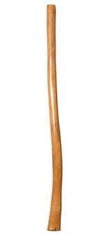 Gloss Finish Didgeridoo (TW1147)